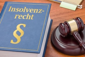 Was besagt das Insolvenzrecht über die Kosten für den Treuhänder bei einer Privatinsolvenz?